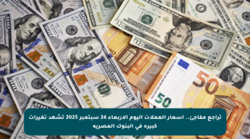تراجع مفاجئ.. أسعار العملات اليوم الأربعاء 24 سبتمبر 2025 تشهد تغيرات كبيرة في البنوك المصرية